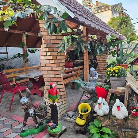 Apartman Centar Srbobran Exteriér fotografie